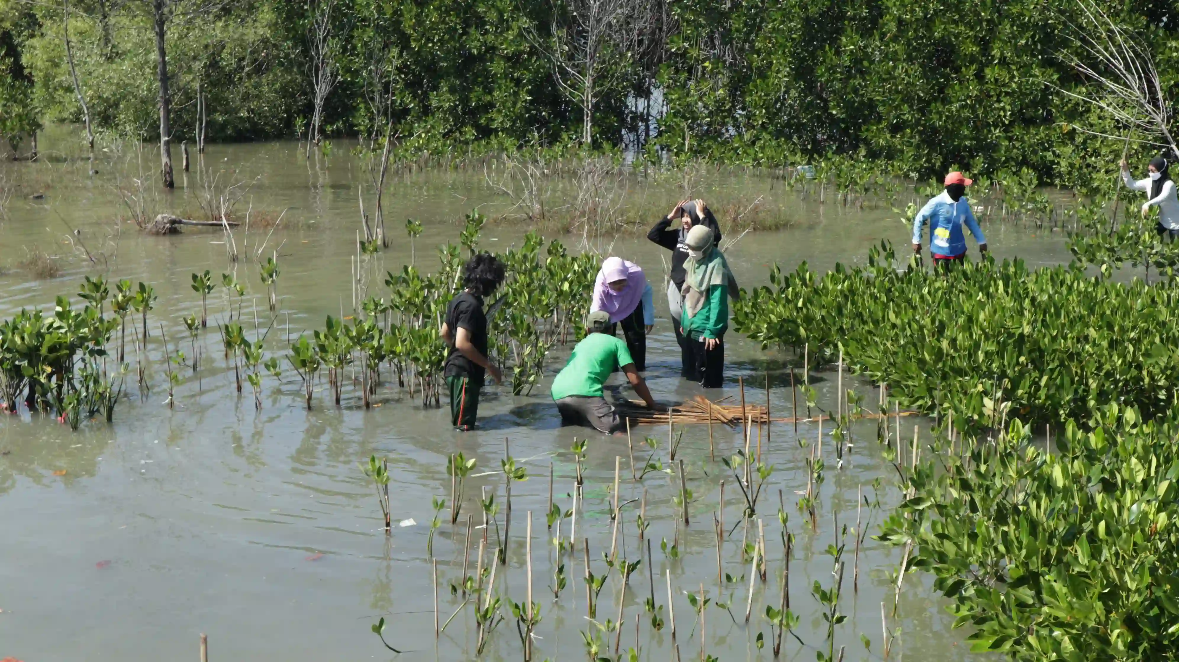 Sedekah Pohon LindungiHutan